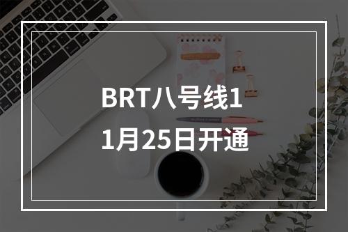 BRT八号线11月25日开通