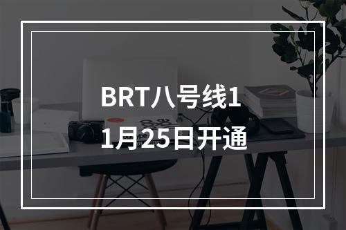 BRT八号线11月25日开通