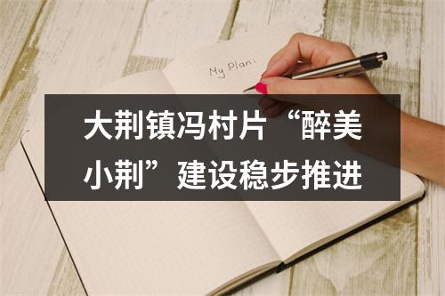 大荆镇冯村片“醉美小荆”建设稳步推进