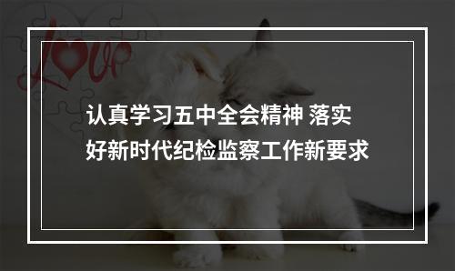 认真学习五中全会精神 落实好新时代纪检监察工作新要求