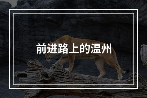 前进路上的温州