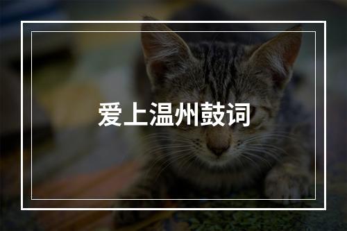 爱上温州鼓词
