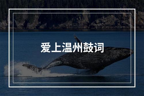 爱上温州鼓词