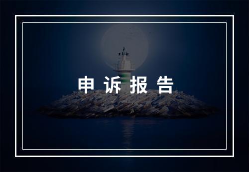 申  诉  报  告