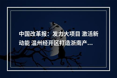 中国改革报：发力大项目 激活新动能 温州经开区打造浙南产城融合新区