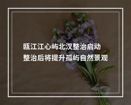 瓯江江心屿北汊整治启动 整治后将提升孤屿自然景观
