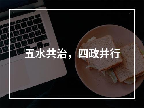 五水共治，四政并行