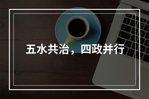 五水共治，四政并行