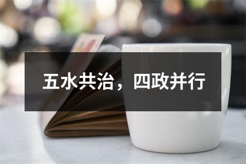 五水共治，四政并行