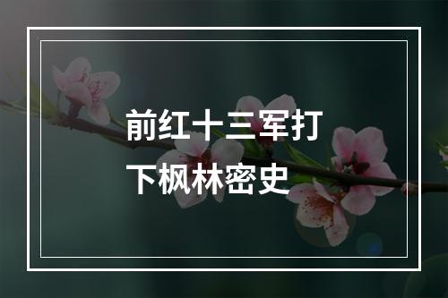 前红十三军打下枫林密史