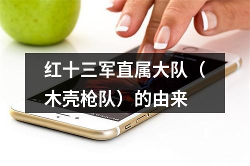 红十三军直属大队（木壳枪队）的由来