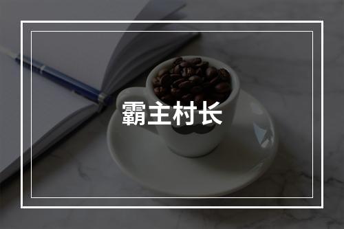 霸主村长