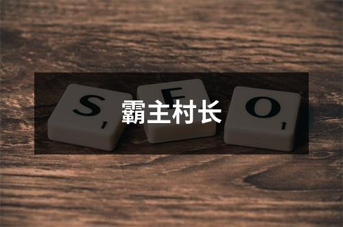 霸主村长