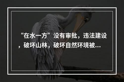 “在水一方”没有审批，违法建设，破坏山林，破坏自然环境被卫星监拍后叫停。这个项目