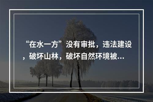 “在水一方”没有审批，违法建设，破坏山林，破坏自然环境被卫星监拍后叫停。这个项目