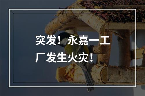突发！永嘉一工厂发生火灾！
