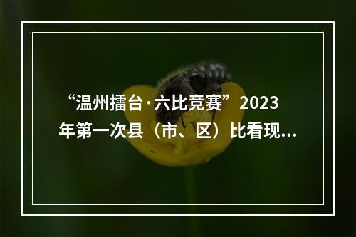“温州擂台·六比竞赛”2023年第一次县（市、区）比看现场会举行