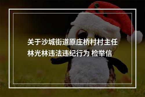 关于沙城街道原庄桥村村主任林光林违法违纪行为 检举信