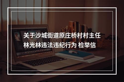 关于沙城街道原庄桥村村主任林光林违法违纪行为 检举信