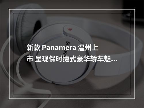 新款 Panamera 温州上市 呈现保时捷式豪华轿车魅力