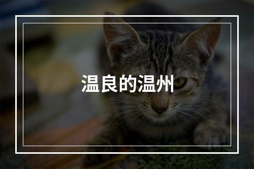 温良的温州
