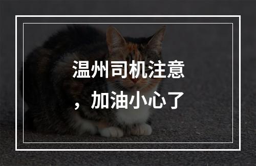 温州司机注意，加油小心了