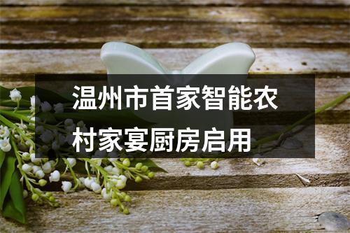温州市首家智能农村家宴厨房启用