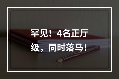 罕见！4名正厅级，同时落马！