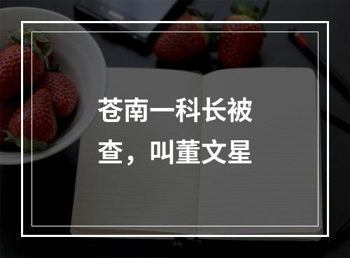 苍南一科长被查，叫董文星