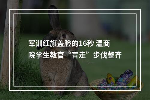 军训红旗盖脸的16秒 温商院学生教官“盲走”步伐整齐
