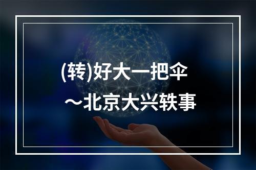 (转)好大一把伞 ～北京大兴轶事