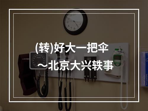 (转)好大一把伞 ～北京大兴轶事