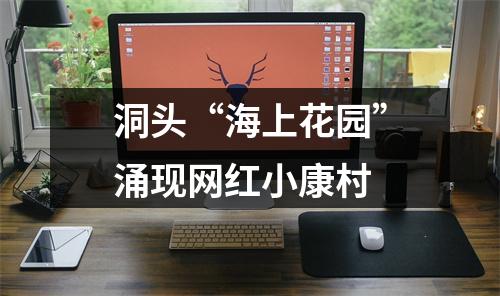 洞头“海上花园”涌现网红小康村