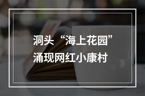 洞头“海上花园”涌现网红小康村