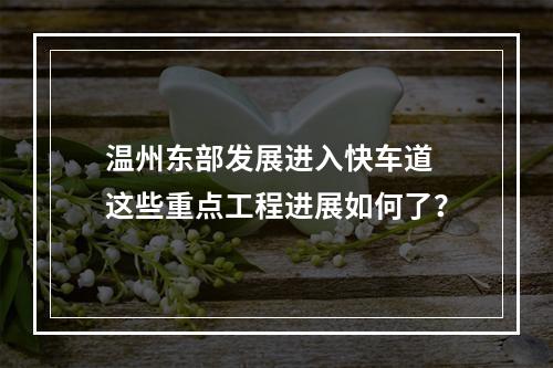 温州东部发展进入快车道 这些重点工程进展如何了？