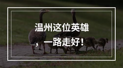 温州这位英雄，一路走好！