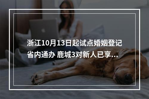 浙江10月13日起试点婚姻登记省内通办 鹿城3对新人已享政策便利
