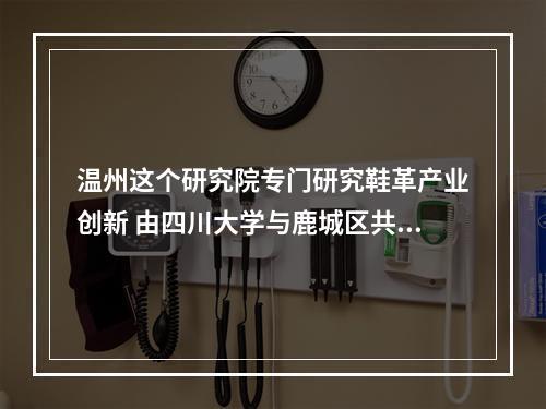 温州这个研究院专门研究鞋革产业创新 由四川大学与鹿城区共建