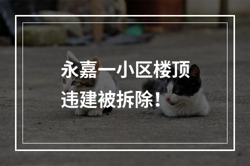 永嘉一小区楼顶违建被拆除！