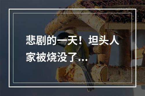 悲剧的一天！坦头人家被烧没了...