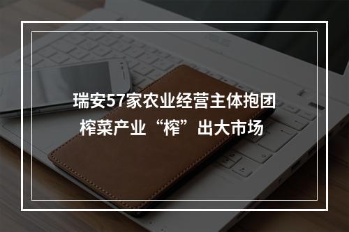 瑞安57家农业经营主体抱团  榨菜产业“榨”出大市场