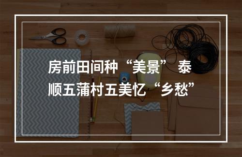房前田间种“美景” 泰顺五蒲村五美忆“乡愁”