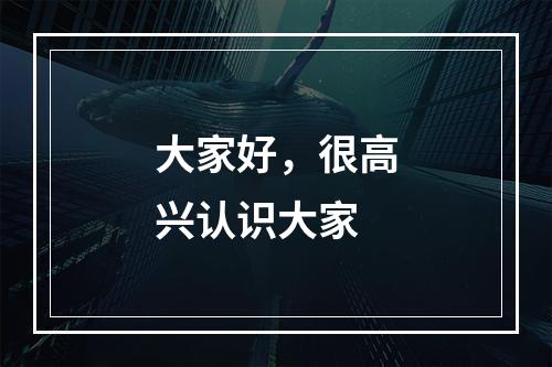 大家好，很高兴认识大家
