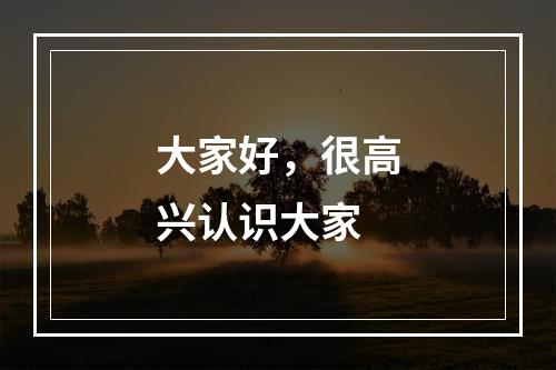 大家好，很高兴认识大家