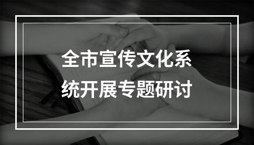 全市宣传文化系统开展专题研讨