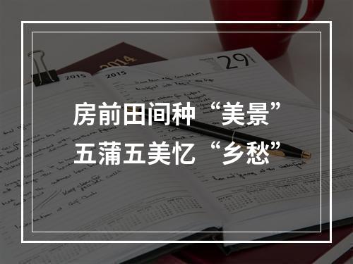 房前田间种“美景”五蒲五美忆“乡愁”