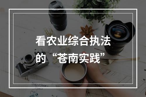 看农业综合执法的“苍南实践”