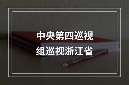 中央第四巡视组巡视浙江省