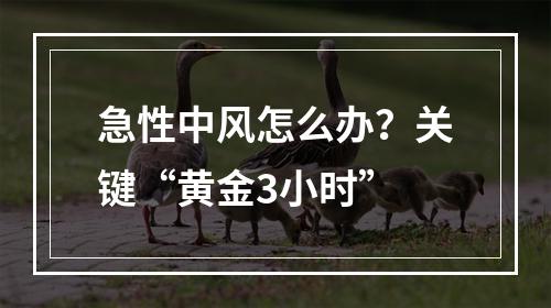 急性中风怎么办？关键“黄金3小时”