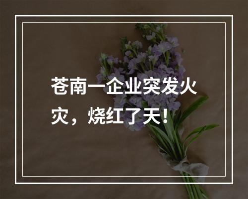 苍南一企业突发火灾，烧红了天！